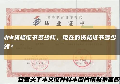 辦b資格證書多少錢，現在的資格證書多少錢？縮略圖