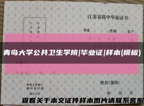 青島大學公共衛生學院|畢業證|樣本(模板)縮略圖