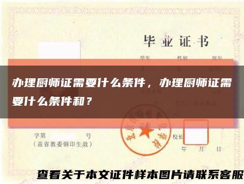 辦理廚師證需要什么條件，辦理廚師證需要什么條件和？縮略圖
