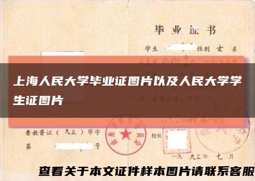 上海人民大學畢業證圖片以及人民大學學生證圖片縮略圖
