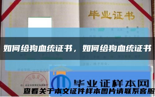 如何給狗血統證書，如何給狗血統證書縮略圖