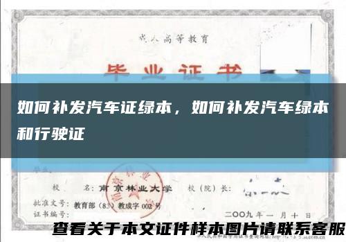 如何補發汽車證綠本，如何補發汽車綠本和行駛證縮略圖