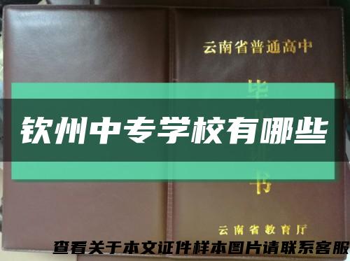 欽州中專學校有哪些縮略圖