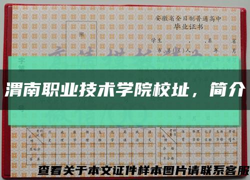 渭南職業技術學院校址，簡介縮略圖