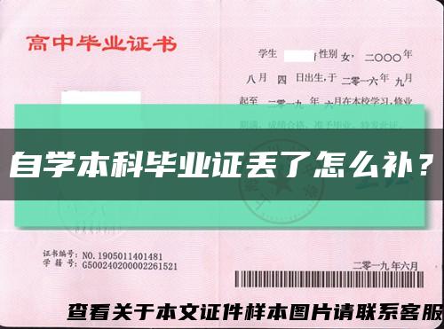 自學本科畢業證丟了怎么補？縮略圖
