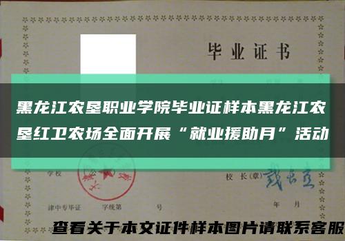 黑龍江農墾職業學院畢業證樣本黑龍江農墾紅衛農場全面開展“就業援助月”活動縮略圖