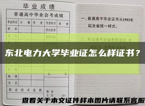 東北電力大學畢業證怎么樣證書？縮略圖
