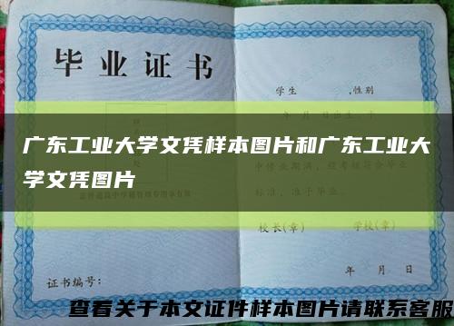 廣東工業大學文憑樣本圖片和廣東工業大學文憑圖片縮略圖