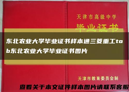 東北農業大學畢業證書樣本通三菱重工tob東北農業大學畢業證書圖片縮略圖