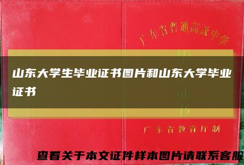 山東大學生畢業證書圖片和山東大學畢業證書縮略圖