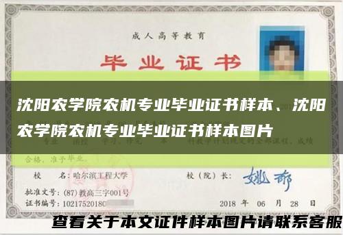 沈陽農學院農機專業畢業證書樣本、沈陽農學院農機專業畢業證書樣本圖片縮略圖