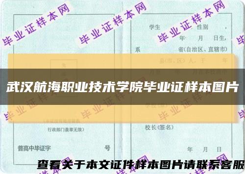 武漢航海職業技術學院畢業證樣本圖片縮略圖