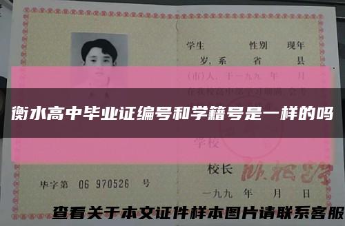 衡水高中畢業證編號和學籍號是一樣的嗎縮略圖