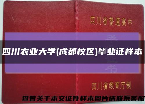 四川農業大學(成都校區)畢業證樣本縮略圖