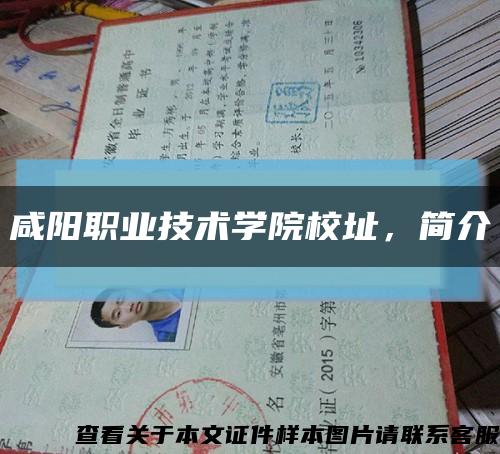 咸陽職業技術學院校址，簡介縮略圖