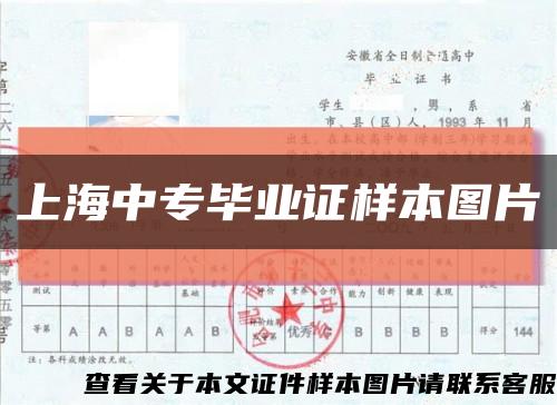 上海中專畢業證樣本圖片縮略圖