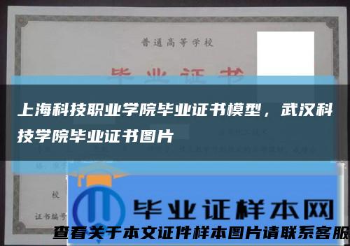 上?？萍悸殬I學院畢業證書模型，武漢科技學院畢業證書圖片縮略圖