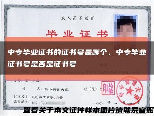 中專畢業證書的證書號是哪個，中專畢業證書號是否是證書號縮略圖