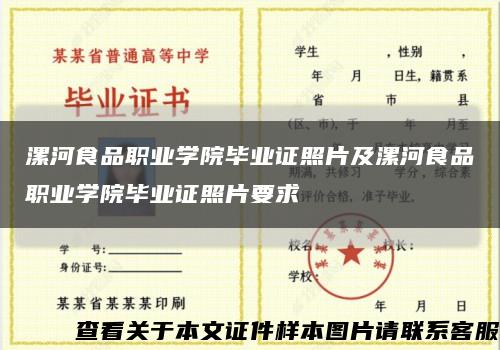 漯河食品職業學院畢業證照片及漯河食品職業學院畢業證照片要求縮略圖