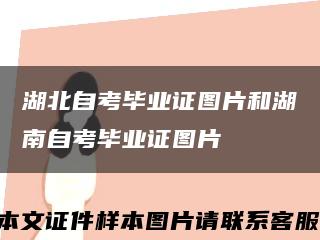 湖北自考畢業證圖片和湖南自考畢業證圖片縮略圖