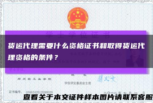 貨運代理需要什么資格證書和取得貨運代理資格的條件？縮略圖