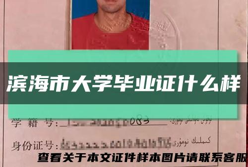 濱海市大學畢業證什么樣縮略圖