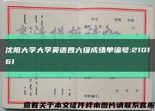 沈陽大學大學英語四六級成績單編號:210161縮略圖