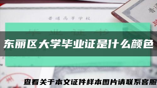 東麗區大學畢業證是什么顏色縮略圖