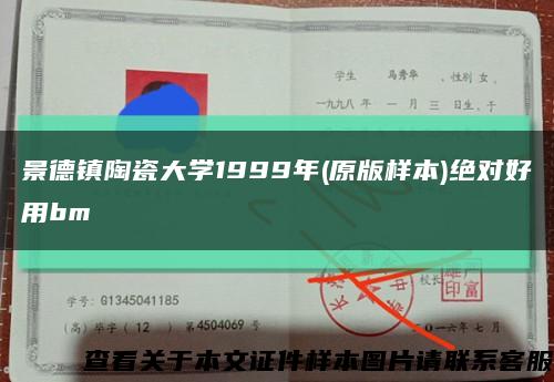 景德鎮陶瓷大學1999年(原版樣本)絕對好用bm縮略圖