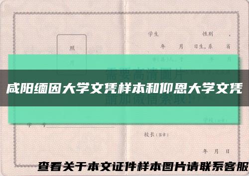 咸陽緬因大學文憑樣本和仰恩大學文憑縮略圖