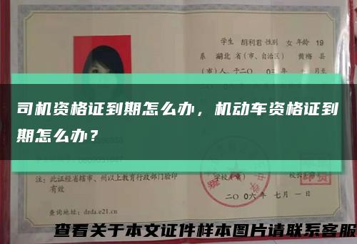 司機資格證到期怎么辦，機動車資格證到期怎么辦？縮略圖