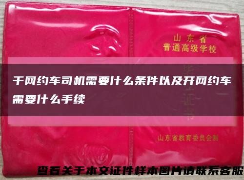 干網約車司機需要什么條件以及開網約車需要什么手續縮略圖