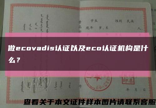 做ecovadis認證以及eco認證機構是什么？縮略圖