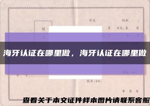 海牙認證在哪里做，海牙認證在哪里做縮略圖