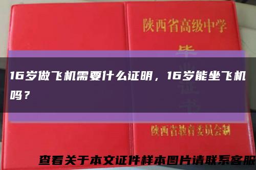 16歲做飛機需要什么證明，16歲能坐飛機嗎？縮略圖