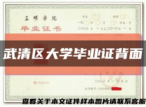 武清區大學畢業證背面縮略圖