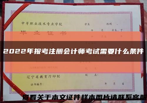 2022年報考注冊會計師考試需要什么條件縮略圖