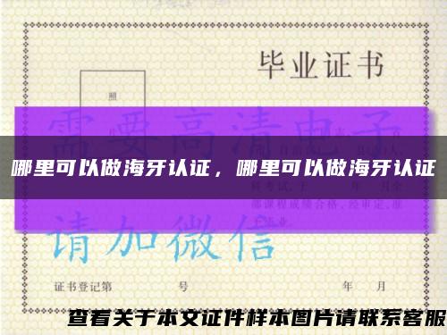 哪里可以做海牙認證，哪里可以做海牙認證縮略圖