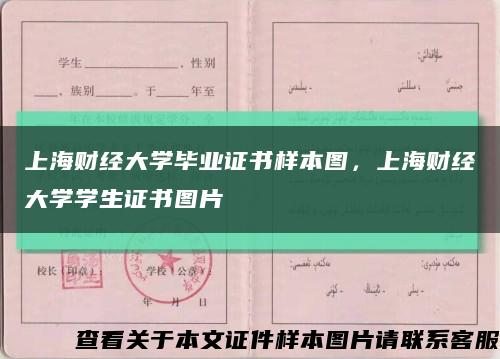 上海財經大學畢業證書樣本圖，上海財經大學學生證書圖片縮略圖