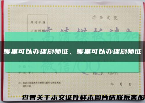 哪里可以辦理廚師證，哪里可以辦理廚師證縮略圖