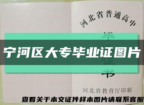 寧河區大專畢業證圖片縮略圖