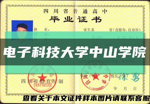 電子科技大學中山學院縮略圖
