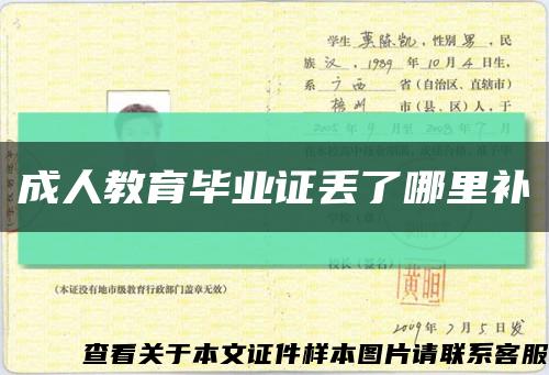 成人教育畢業證丟了哪里補縮略圖