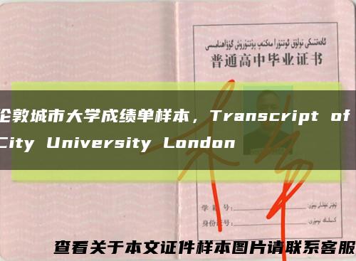 倫敦城市大學成績單樣本，Transcript of City University London縮略圖