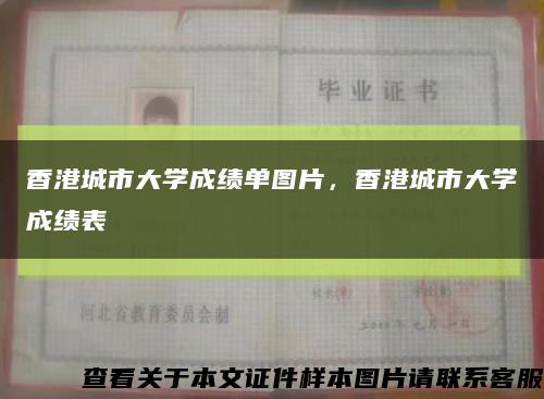 香港城市大學成績單圖片，香港城市大學成績表縮略圖