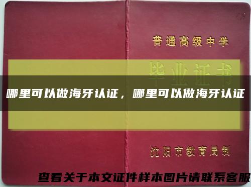 哪里可以做海牙認證，哪里可以做海牙認證縮略圖