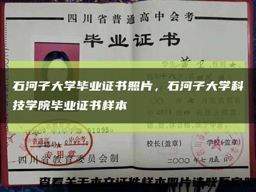 石河子大學畢業證書照片，石河子大學科技學院畢業證書樣本縮略圖