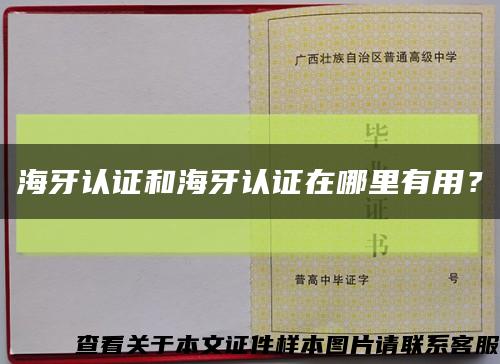 海牙認證和海牙認證在哪里有用？縮略圖