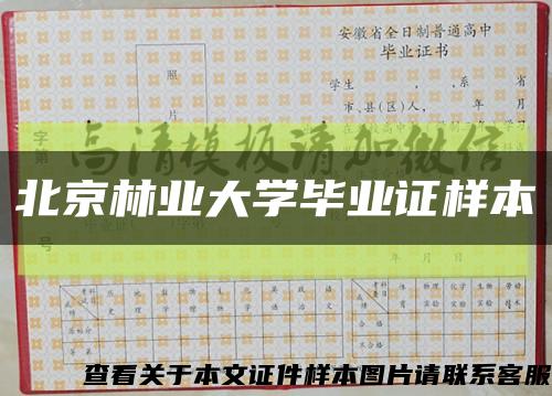 北京林業大學畢業證樣本縮略圖