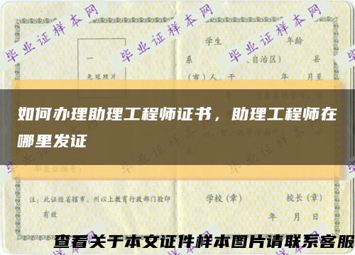 如何辦理助理工程師證書，助理工程師在哪里發證縮略圖